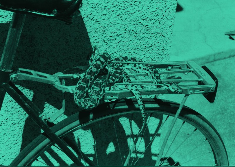 Registro bici e antifurto: come tutelare i clienti